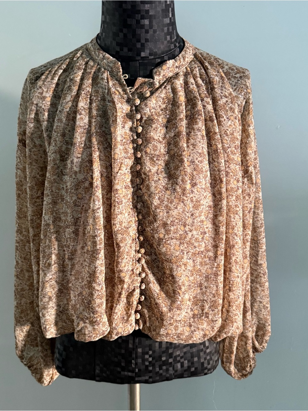 Dress Forum Paisley Button Front Boho Sheer Lined Crop Cottage Core Blouse